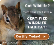 certify your yard today!